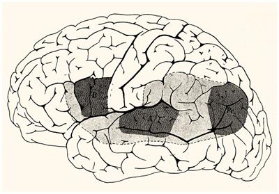 The Pavlovian interpretation of speech and aphasia: Alexander Luria and Wilder Penfield